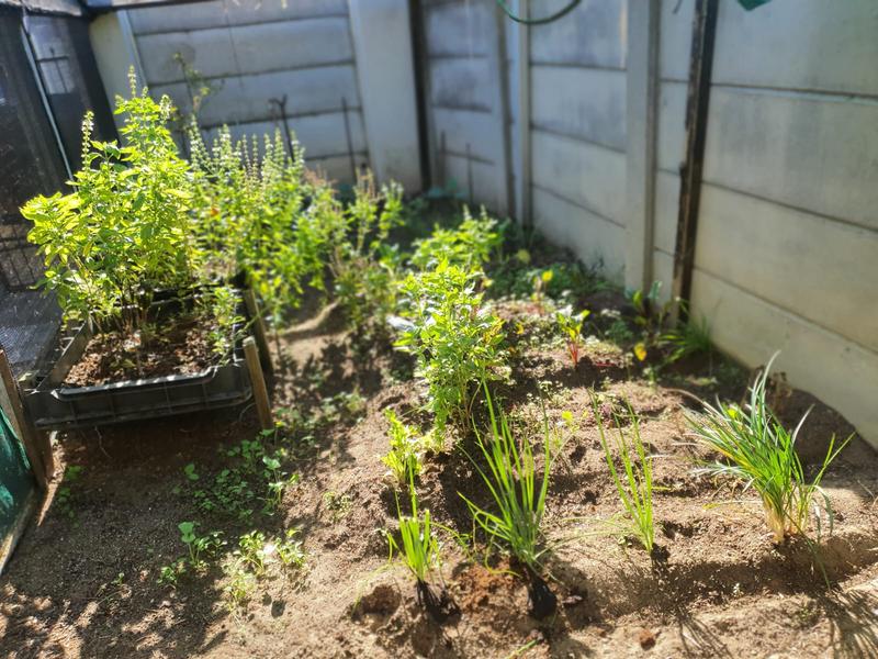 5 Bedroom Property for Sale in Parow North Western Cape